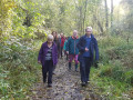 hra-walk-no-1-pic-3